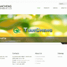 2010年近期网站开发tchnewyork.com