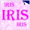 iris1.jpg